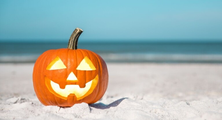Catch a Fright in Siesta Key This Halloween with These Spooky Activities!