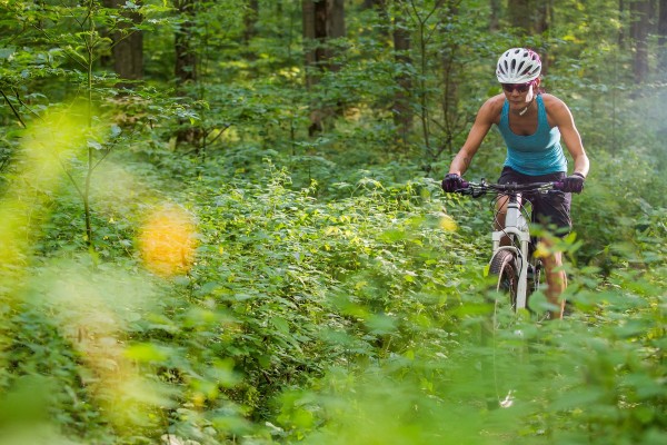 Off-Road Siesta Key Tours to Take in the Stunning Views