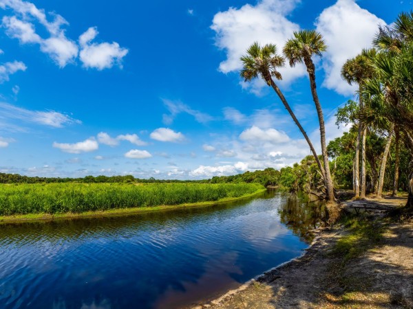 Where to Go Birding in Siesta Key and Sarasota