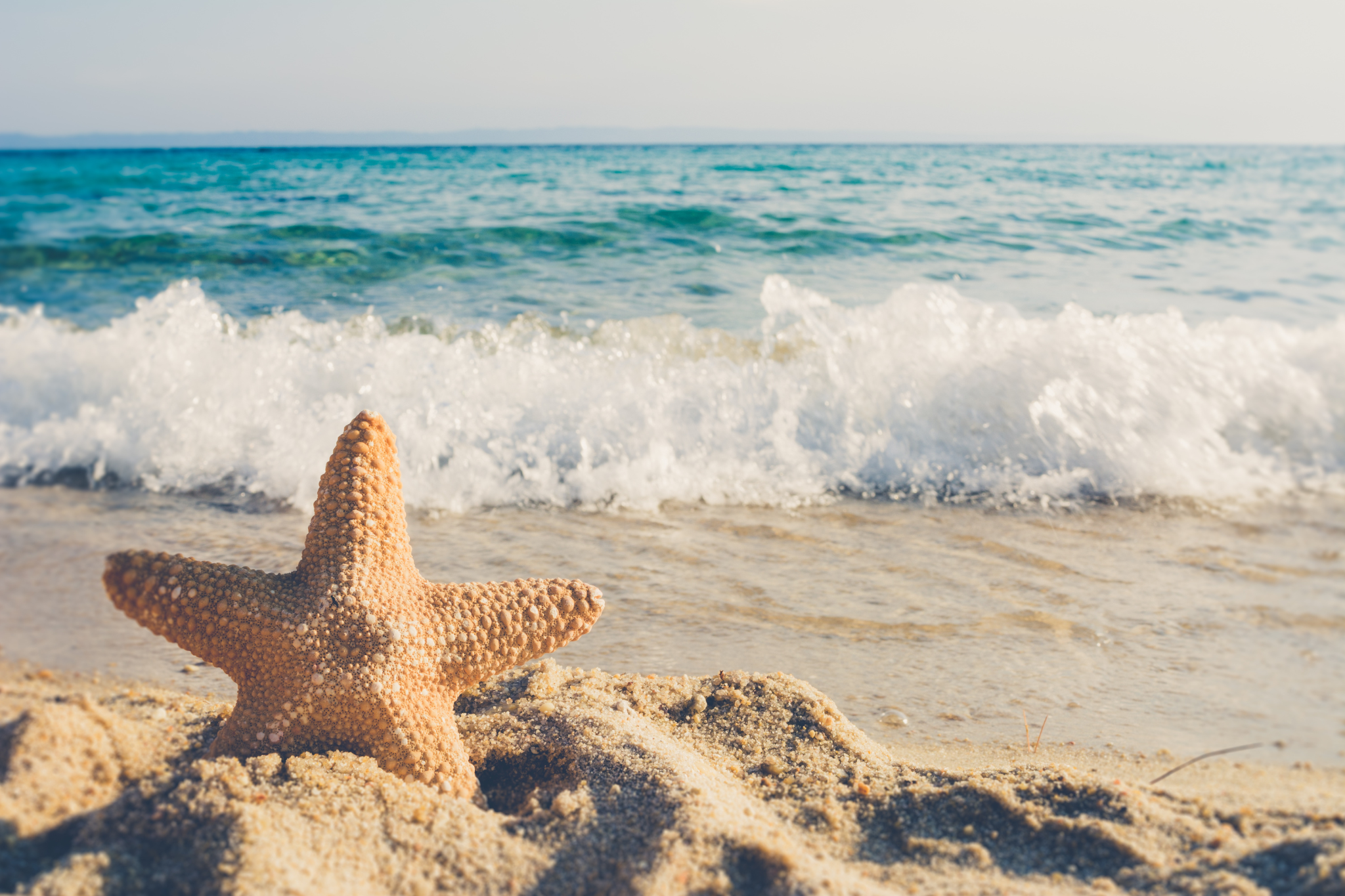 Plan Your Luxurious Spring Escape on Siesta Key