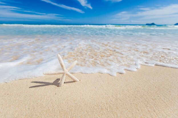 Why August is One of the Best Times to Visit Siesta Key on Florida’s Gulf Coast