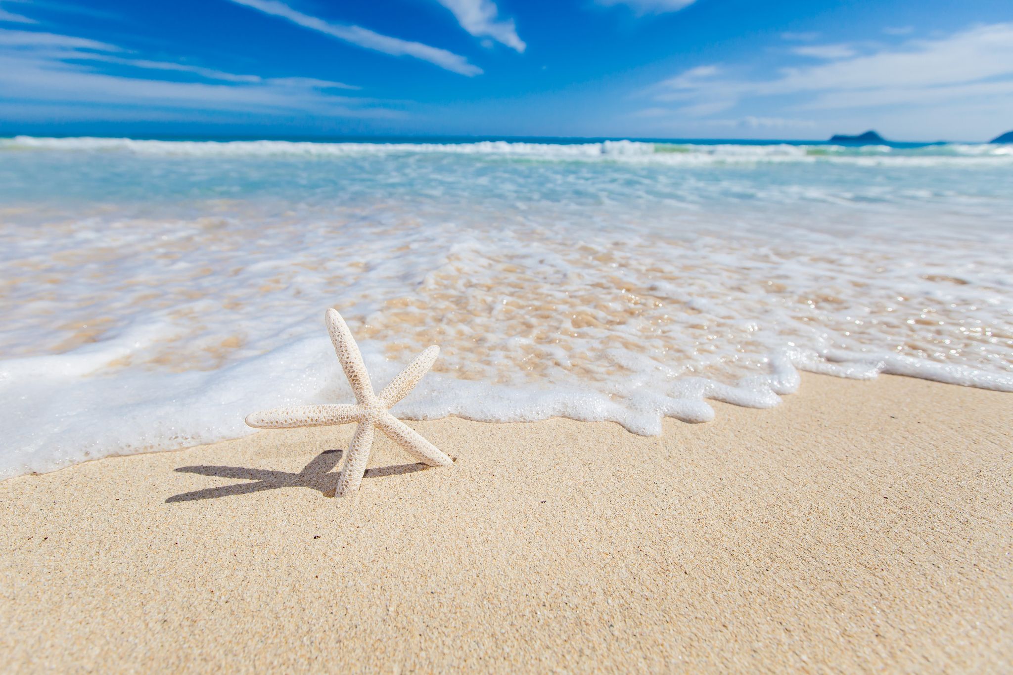 Why August is One of the Best Times to Visit Siesta Key on Florida’s Gulf Coast